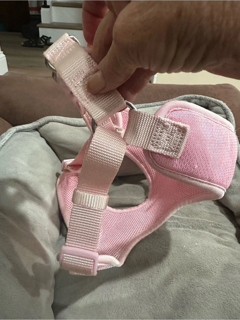 “Top Paw”Soft Pink Padded Dog Harness